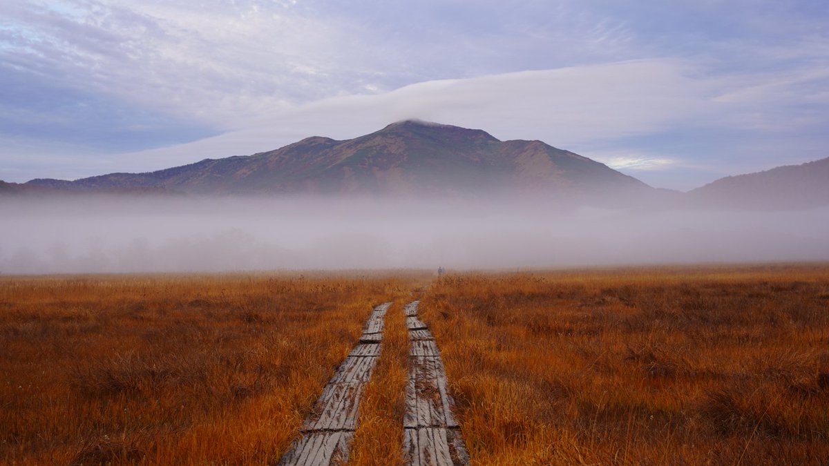 尾瀬小屋【尾瀬国立公園】 tweet media