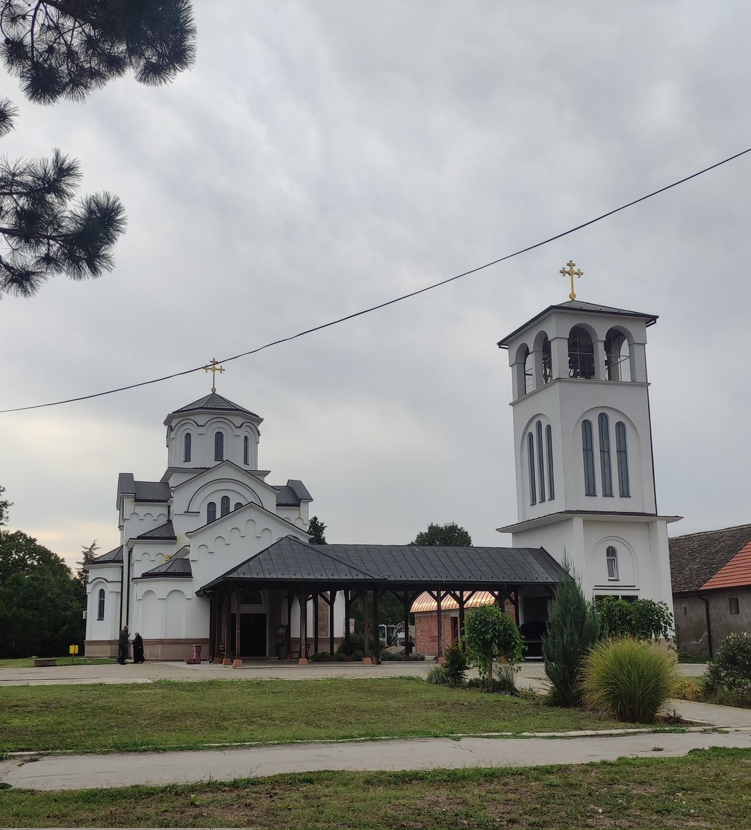 Sladjana (@sladjana77a) on Twitter photo 