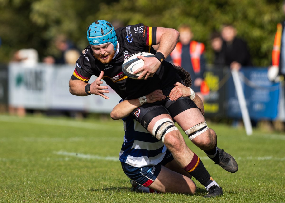 Mike Bayly tweet media