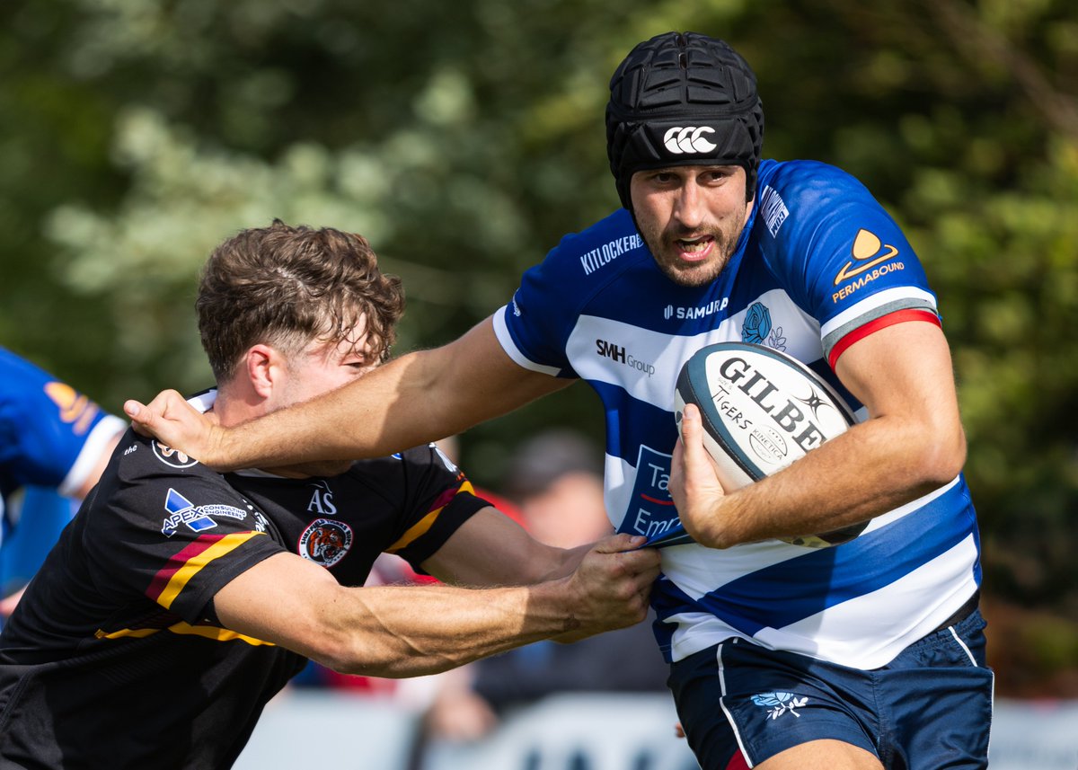 Mike Bayly tweet media