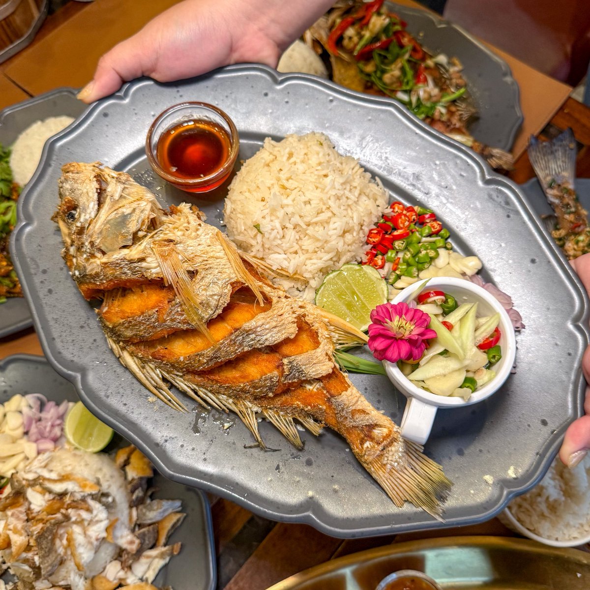 kptalonlak's tweet image. แนะนำเลย เมนูข้าวปลาทะเล ได้ยกตัว ทุกเมนูจานละ 140 บาท
มีทั้งแบบทอด นึ่ง ข้าวปลาแกะ โปะบนข้าวที่ขยำกับน้ำปลา
ร้านมีแบบผัดพริกเกลือ น้ำตกปลาทอด ราดผัดขึ้นช่าย แล้วก็แบบฟิช แอนด์ชิพ ปลาไทย ได้ยกตัวด้วย

ร้าน Lobster City บรรทัดทอง 
จอดรถในอุทยาน 100 ปี จุฬาฯ 
(เอามาสแตมป์ ฟรี 1 ชม…