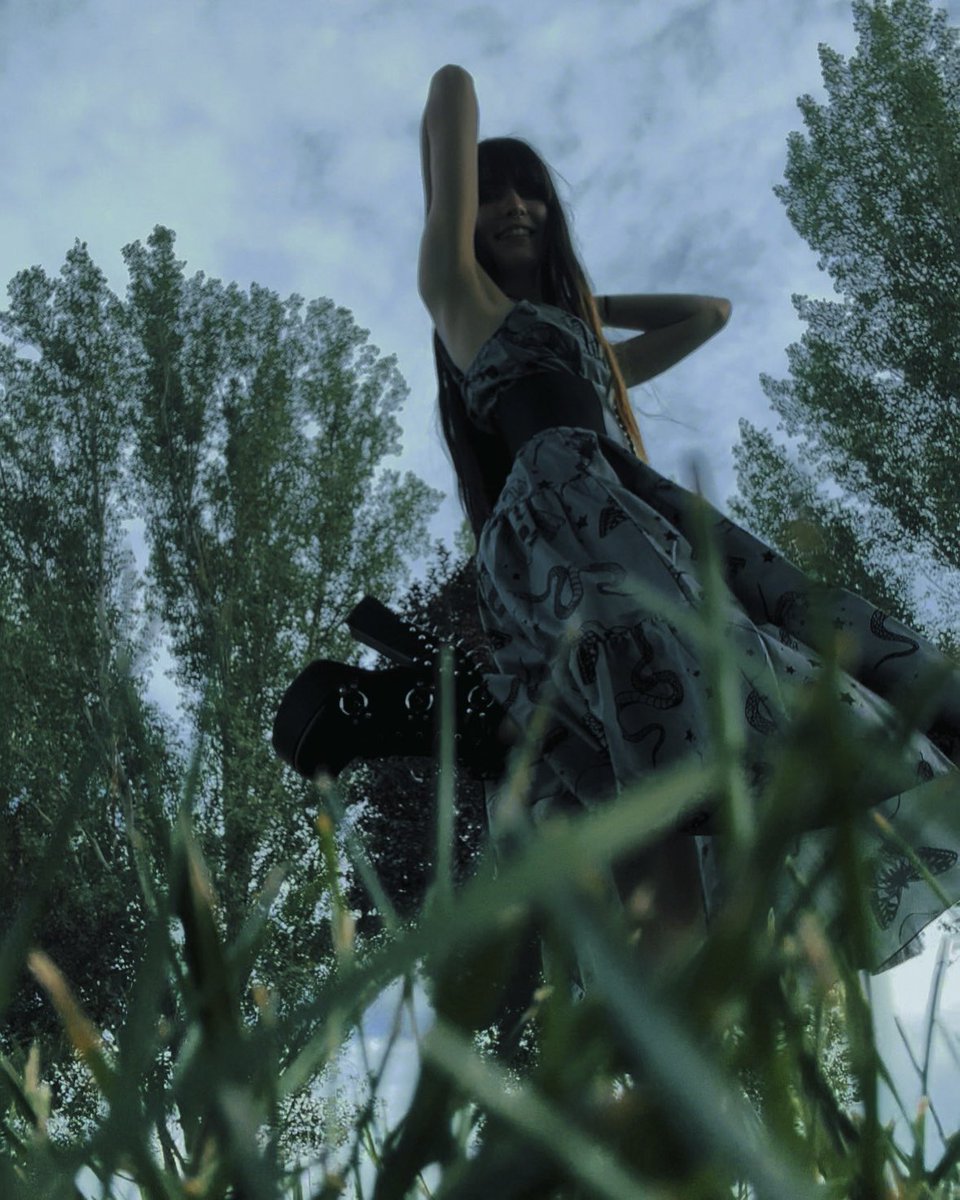 lil bug🐜 tweet media