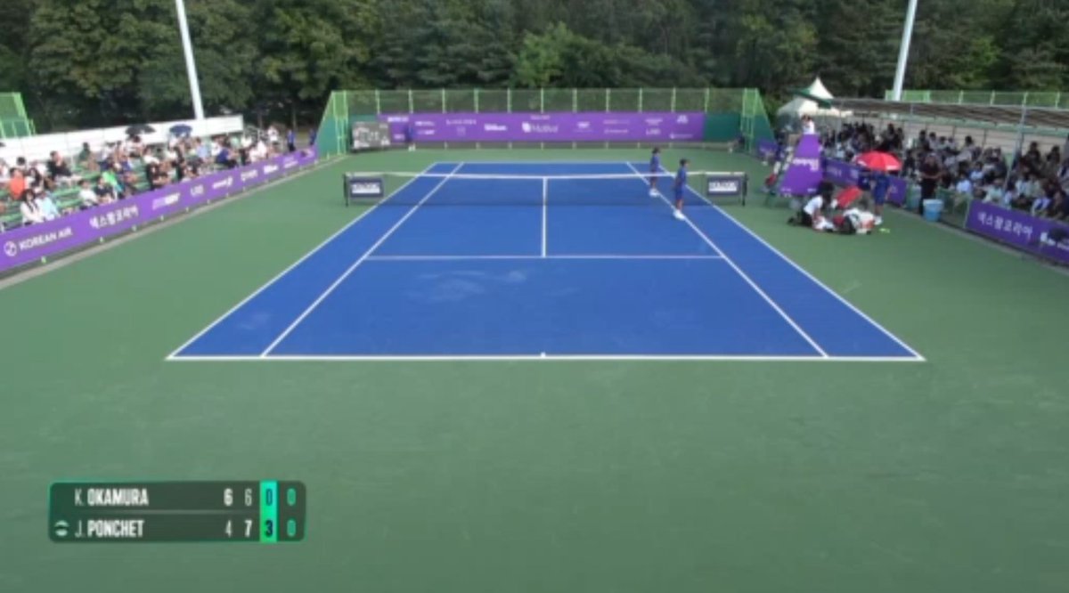 SignaMTO tweet media