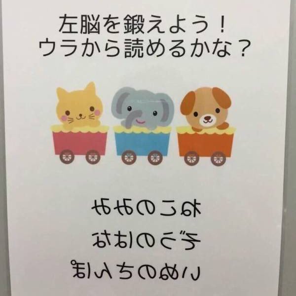 _b1q_'s tweet photo. さて、"左脳"でも鍛えるとするか https://t.co/wEWTJLbV36