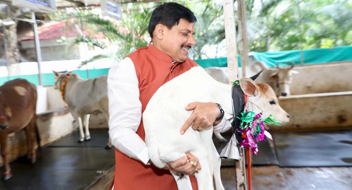 PeoplesUpdate's tweet image. मुख्यमंत्री निवास की गौशाला में बछिया का जन्म, सीएम डॉ. मोहन यादव ने तिलक लगाकर किया स्वागत और नामकरण

peoplesupdate.com/cow-gave-birth… 

#Bhopal @DrMohanYadav51 #CalfNamingCeremony #CowProtection #CalfBirth #PeoplesUpdate