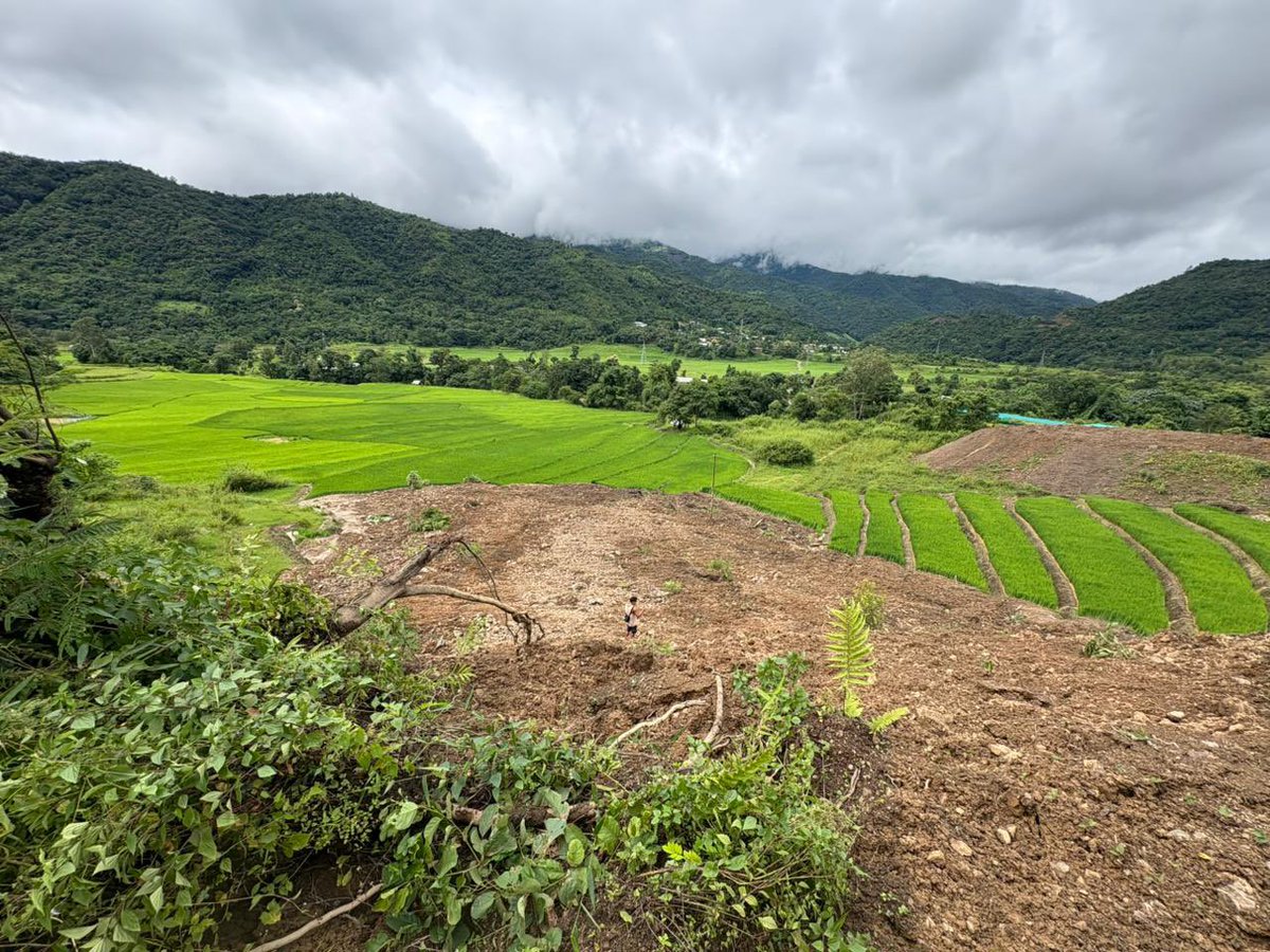 ukhrultimes's tweet image. #UTSnippet: Ukhrul Highway 202 has been completely blocked by a landslide near T.M. Kasom village in #UkhrulDistrict, #Manipur. The landslide which occurred on Saturday night, also destroyed two paddy fields. Clearing the debris is expected to take few days.

Direct sources at…
