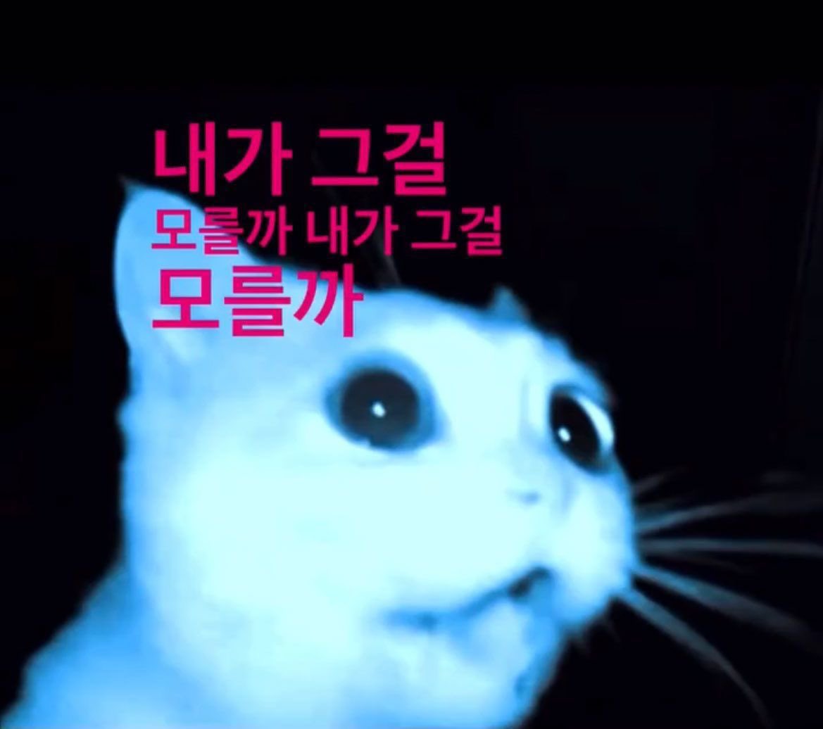 오꿈 (@okkum__) on Twitter photo 