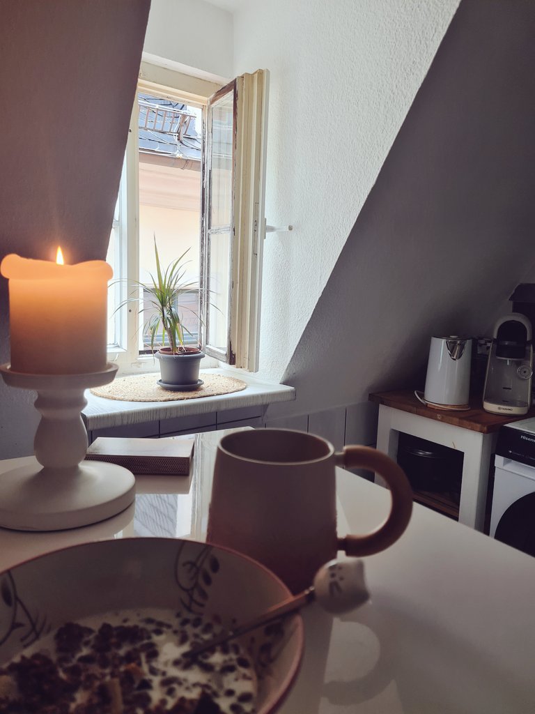 Ich liebe solche Morgen - Der Regen schlägt hörbar gegen die Dächer. Es ist dunkel und drüber und etwas frisch. Der Katzenmann ist am Quatschkopfen und setzt sich dannach ans Schlafzimmerfenster um seinen Tauben Buddies bei der morgentlich Dusche zu zusehen. 
Alles ist ruhig.