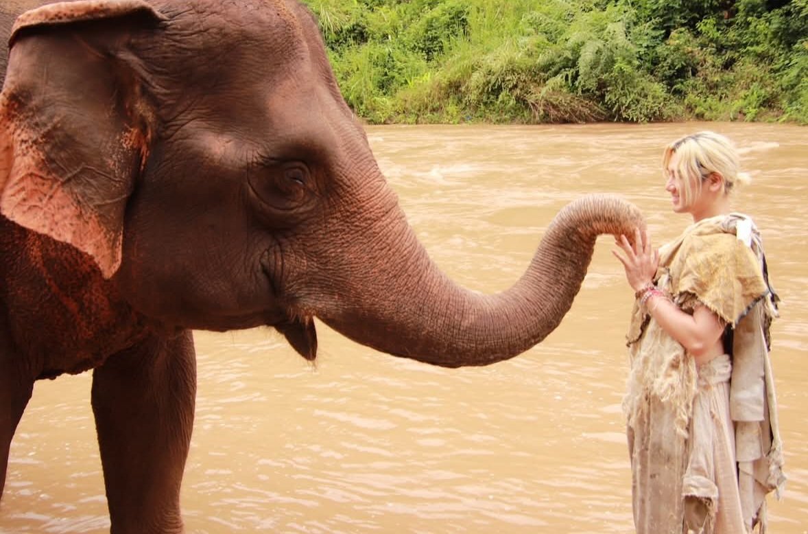 素晴らしい🥹 初登場1位✨ Prema / Fujii Kaze アルバムPremaからの