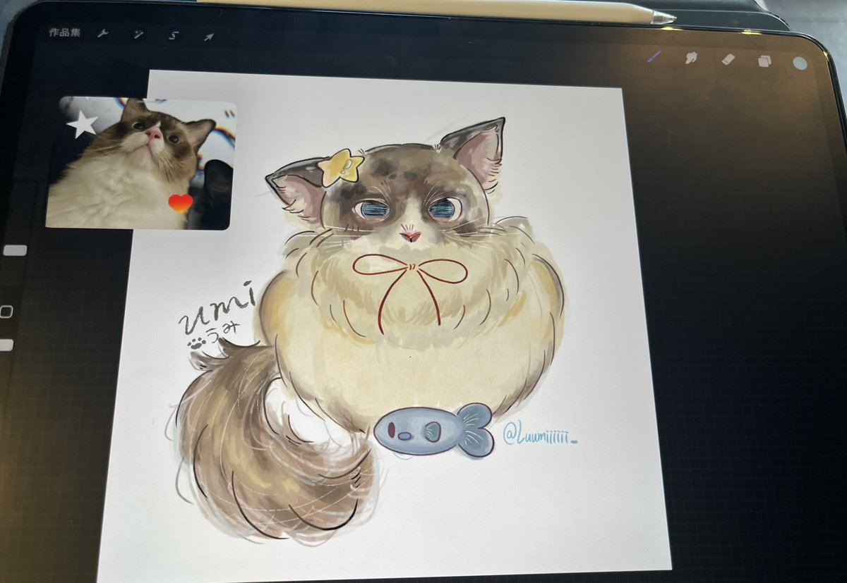 畫Umi 笨笨姆咪 是男生 但萌