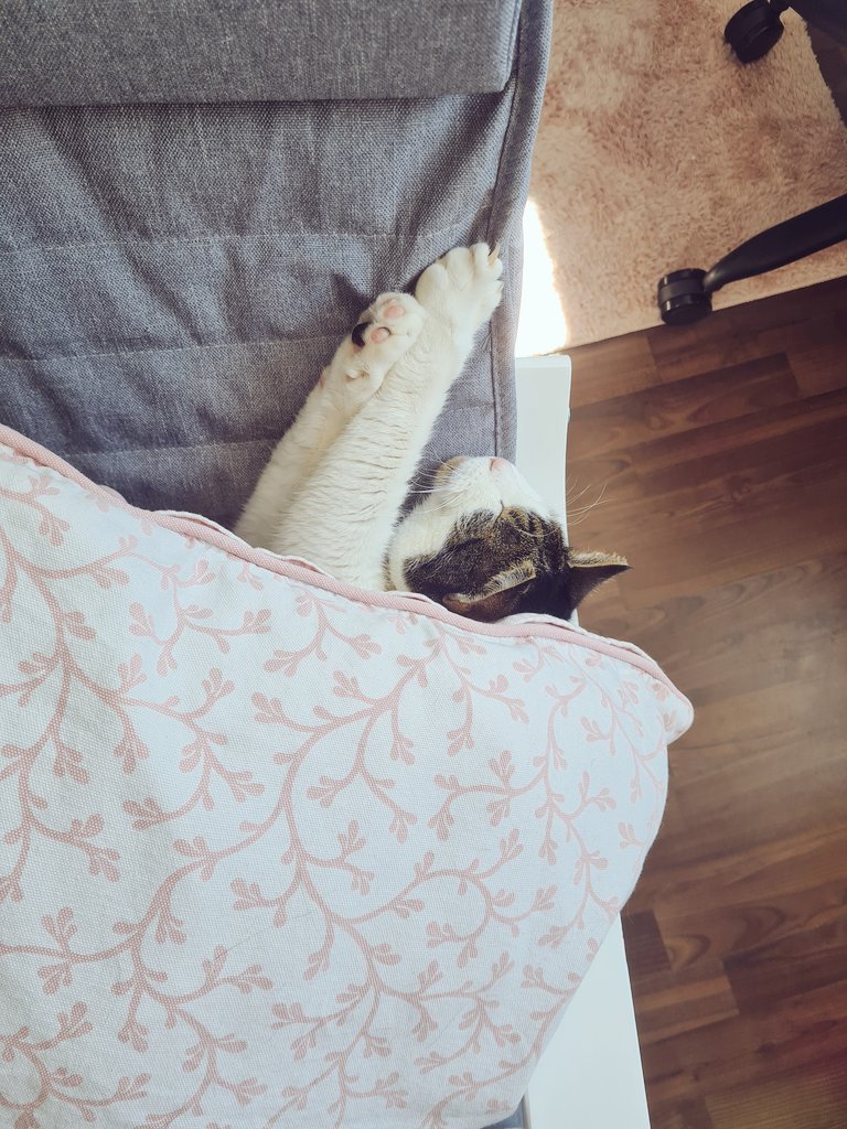 Ich wäre aber keine richtige Mutti  wenn ichbmein Kind nicht regelmäßig im Internet bloßstellen würde - Gestern. Wahrscheinlich ein misslungenen Befreiunsversuch der in einem Powernap geendet ist.