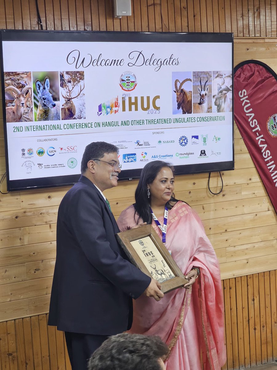 Orus Ilyas tweet media