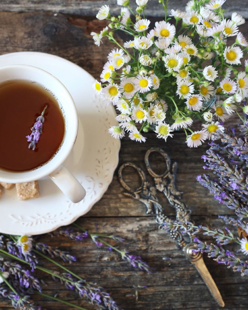 Cada sorbo de esta infusión es un abrazo de calma. Las flores de manzanilla y lavanda, cuidadosamente seleccionadas, ofrecen un sabor suave y relajante para tu cuerpo y mente. 

#infusionesrelajantes #frescuraenuntaza #manzanillaylavanda #lateterazul#pharmadusbotanicals