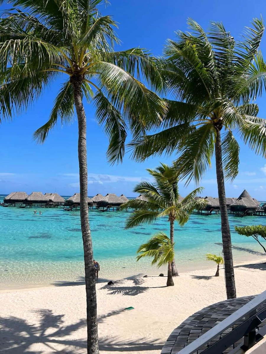 Another perfect day in paradise ˜˜˜˜ Le Bora Bora by Pearl Resorts