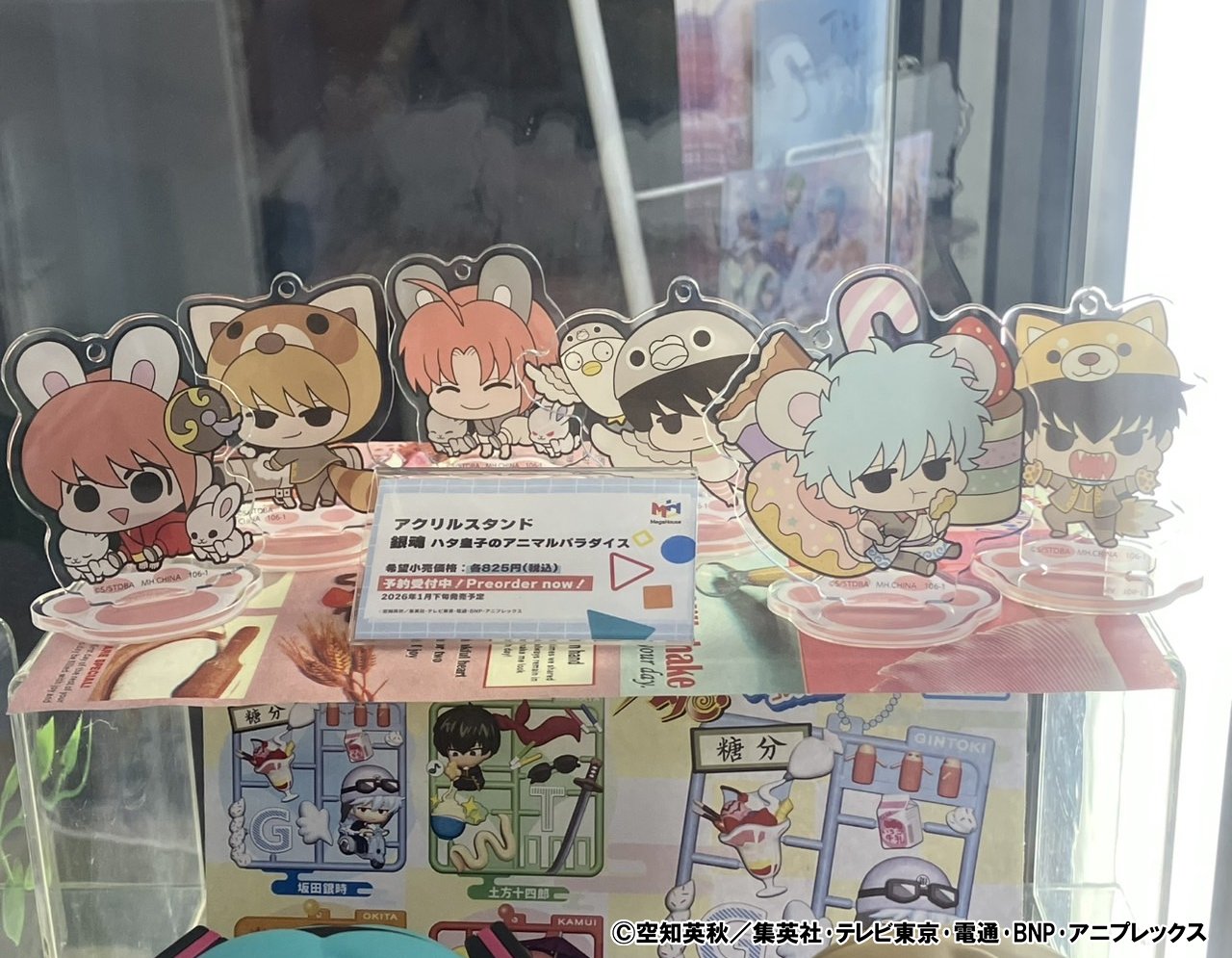 銀魂 アニマルパラダイス コンプセット ※箱無し 銀魂グッズ新作情報 on X: 