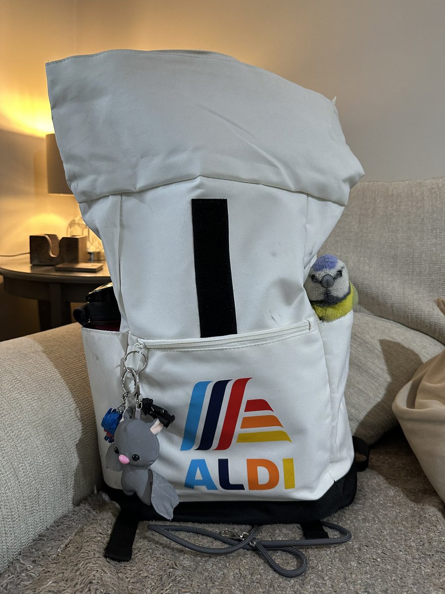 #reisemeise hat gepackt! Gleich geht es los zum Flughafen. Grandiose Rundreise durch Irland liegt hinunter uns.