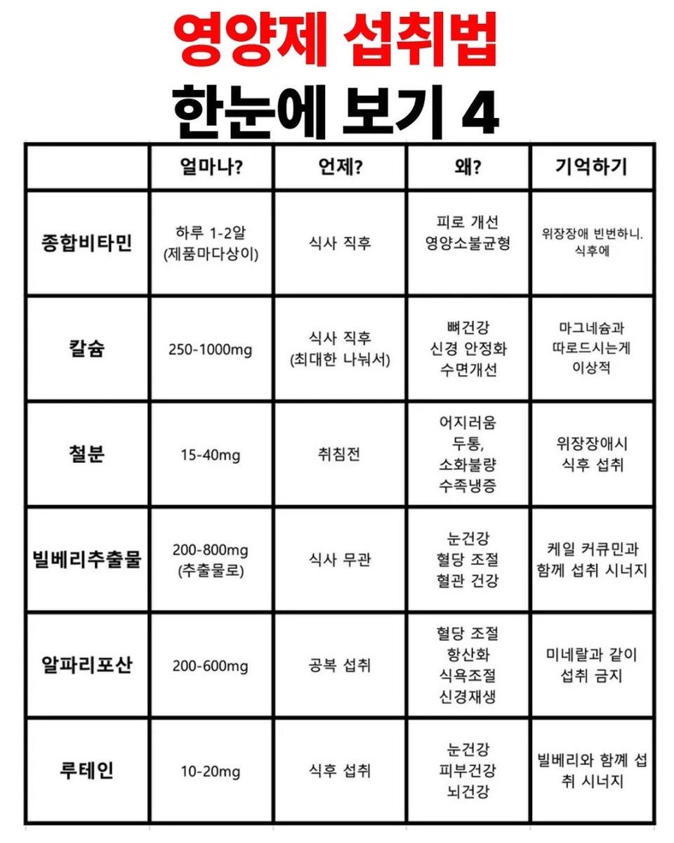 영양제 섭취법 한눈에 보기