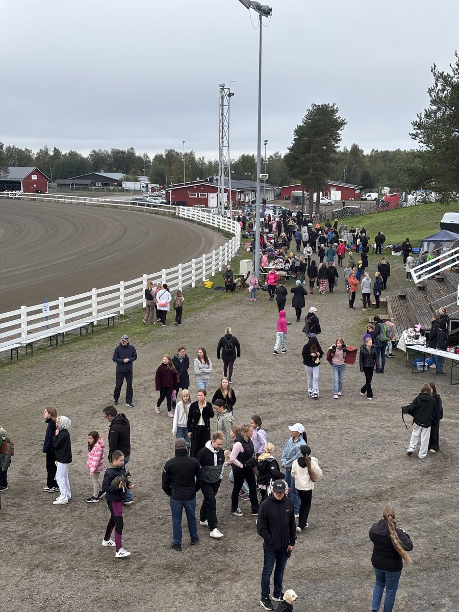Ookkonää hevostellu 2025. Hevonen kiehtoo ja kiinnostaa! ⁦<a href="/oulunravit/">Äimärautio</a>⁩ #ravit