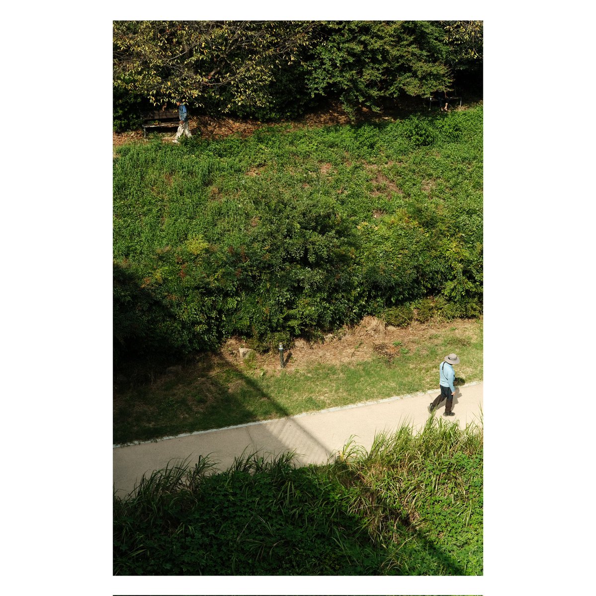 14 September 2025
snap
📷 FUJIFILM X-E4
Nokton 35mm f1.2
Kodachrome
#xe4 #nokton35mm #fujifilm_xseries #classicchrome