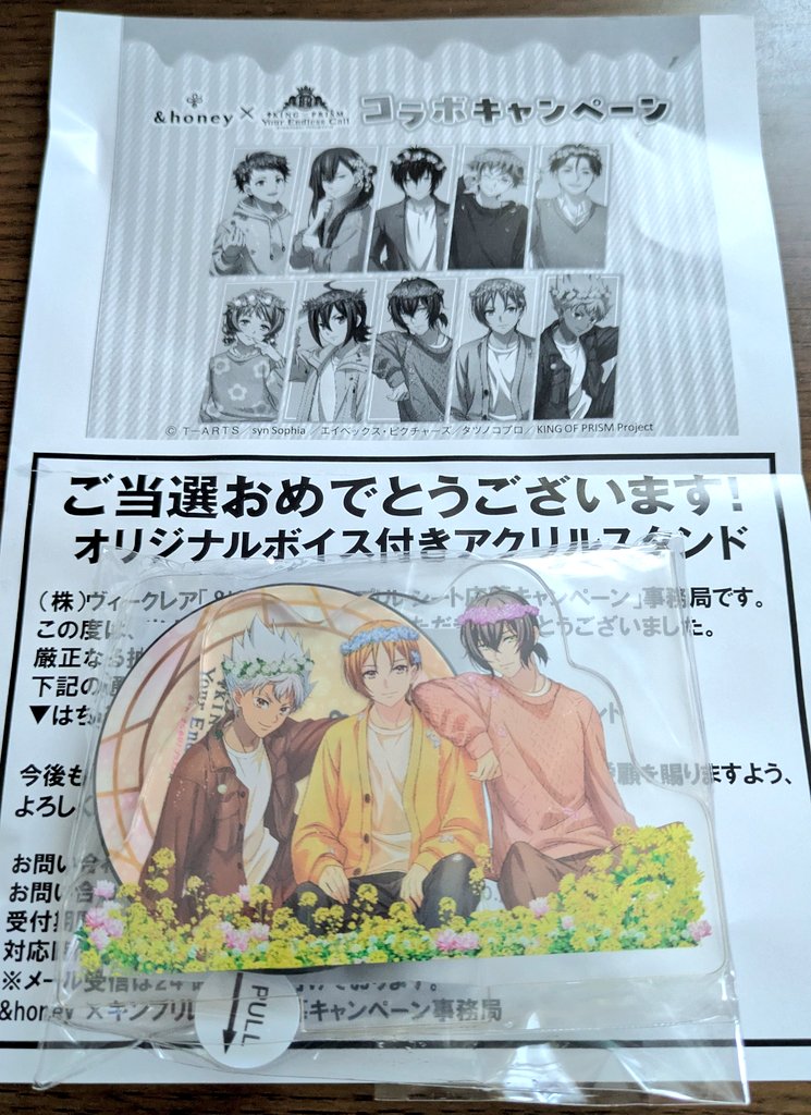 KING OF PRISM キンツア オバレ &honey アクリルスタンド KING OF