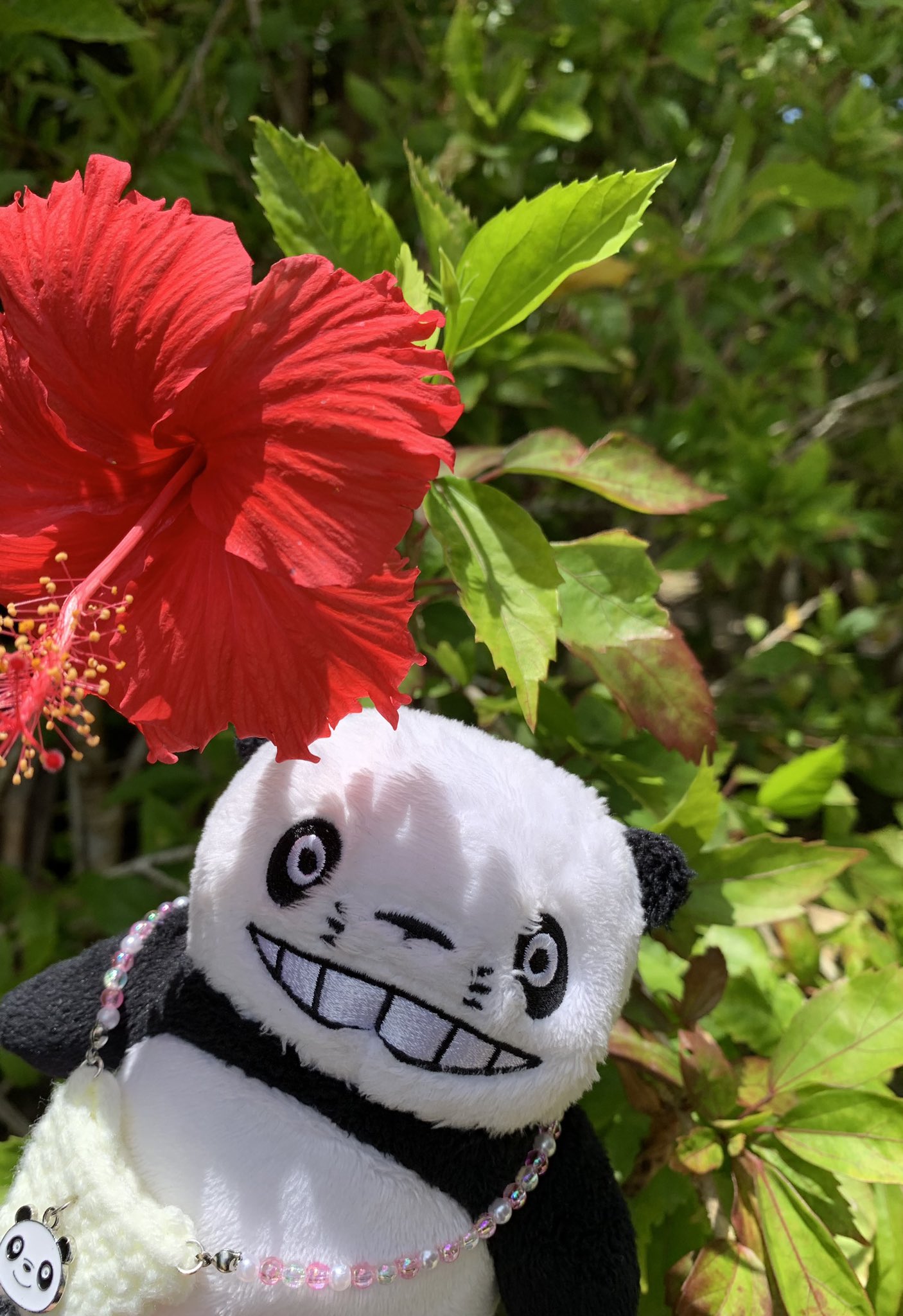 パンダこさん専用 Amazon | 太洋電機産業(goot) 鉛フリー用2本接続温調はんだこて