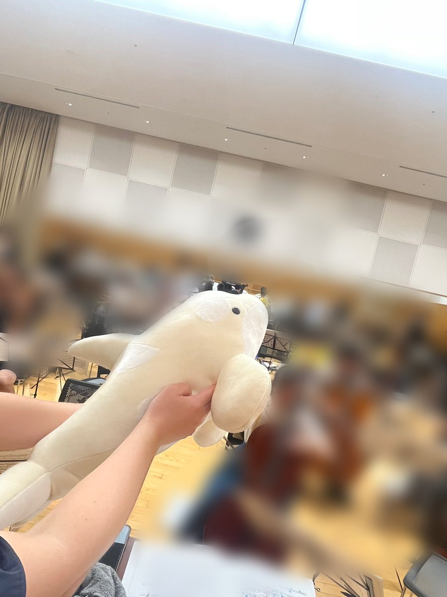 ⭐️刈谷公演まであと1日⭐️
9/15（月祝） 刈谷市総合文化センターアイリス大ホール
開場13:00 開演14:00

ドヴォルザーク/
謝肉祭・チェロコン・交響曲第8番

シャチさんに見守られて練習中‼️
明日のご来場お待ちしております🎶

チケットぴあ
t.pia.jp/pia/event/even…
teket
teket.jp/11533/51128