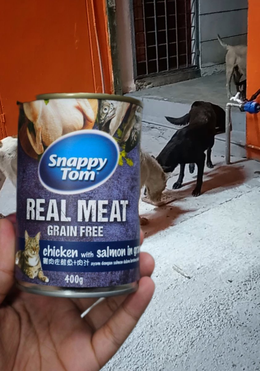 Assallamualaikum. Ada sesiapa sudi belikan wetfood ni untuk anak2 jalanan? Belikan secara online atau beli terus dari kedai pet di sini. Harga satu tin rm3.60. Nanti saya bagi no talipon boss kedai utk bayar padanya.
Boleh whatsapp saya 0196053041.
Bantuan kekawan sgt dihargai.