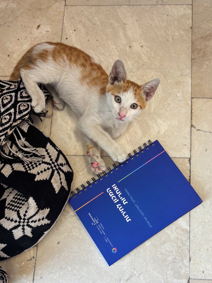 גיוס חדש