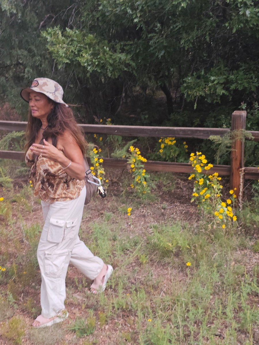 LexaCD's tweet image. If you see a black baby bear, stay calm and follow these steps:

1. Back away slowly: Give the bear a clear path to leave. Don't approach it.
2. Avoid eye contact: Looking a bear in the eye can be perceived as a challenge.
3. Make yourself look bigger..