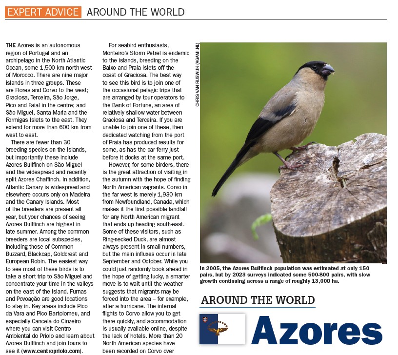Read my profile on the Azores in the October issue of <a href="/BirdwatchExtra/">Birdwatch</a>  out soon