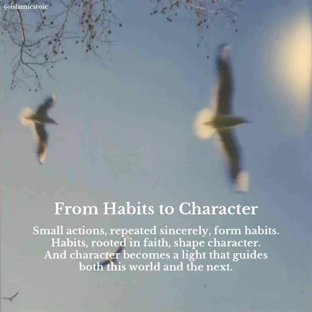IslamicStoic's tweet photo. The Daily Muslim - The Journey Never ends. 

Available on Amazon https://t.co/VxunHcNmEu https://t.co/L0qbN0WbbW