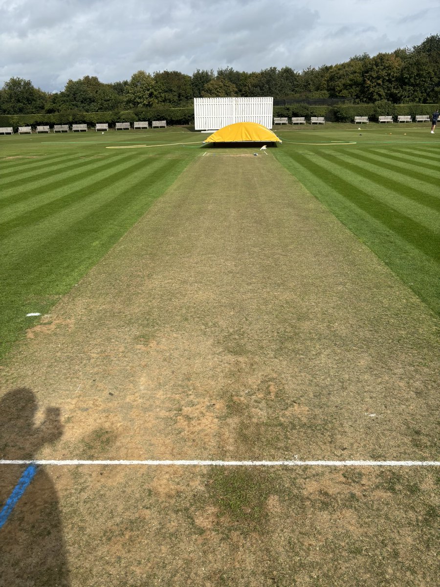 Alex kegg tweet media