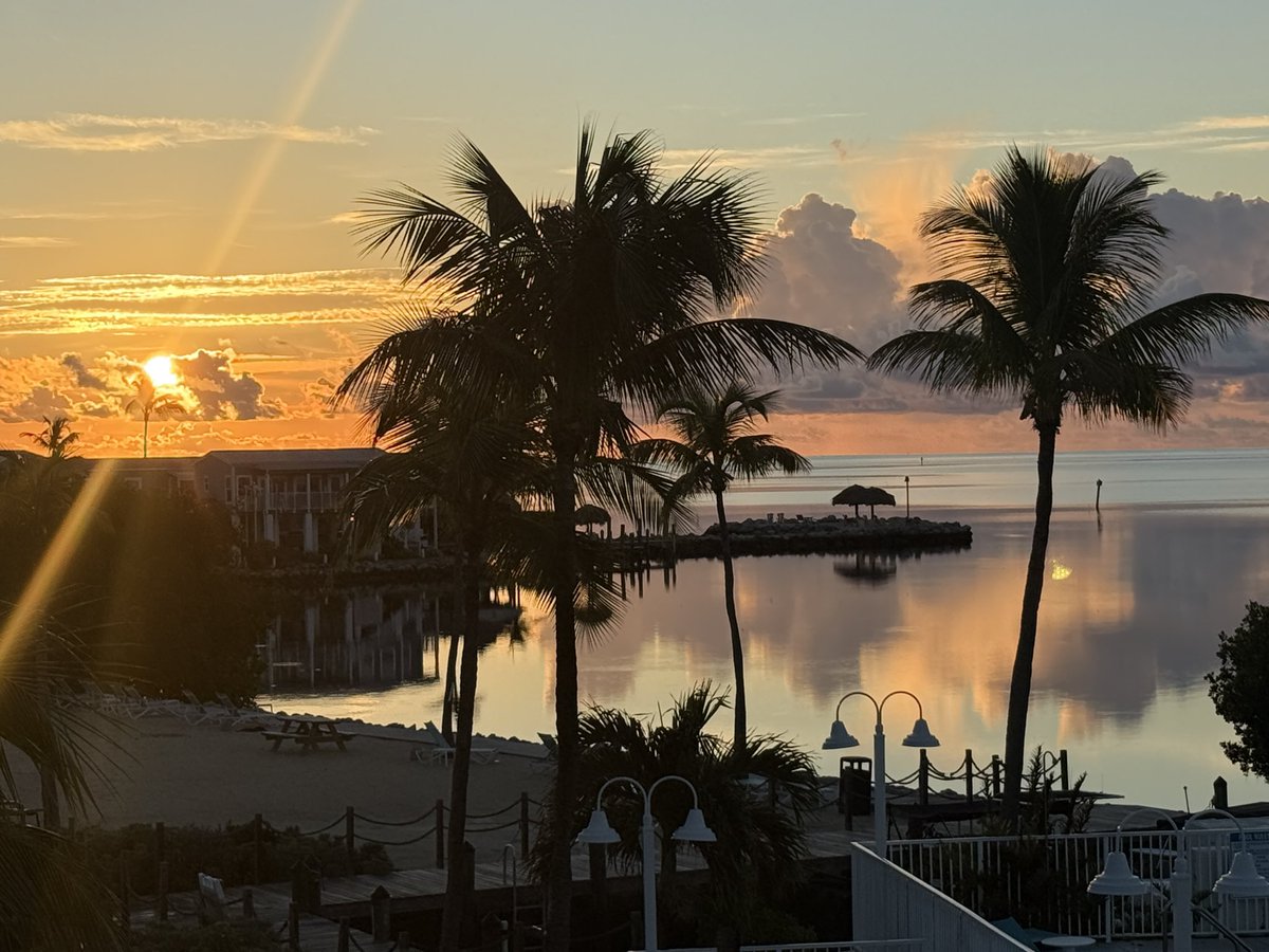 CrypⓣoSⓣeveO 💜 tweet media