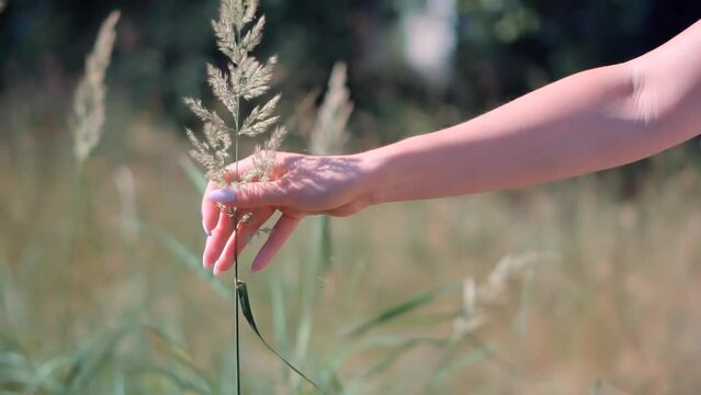 LoadingVoc1197's tweet image. i love queste on OS
 #openseatouchgrass  #opensea