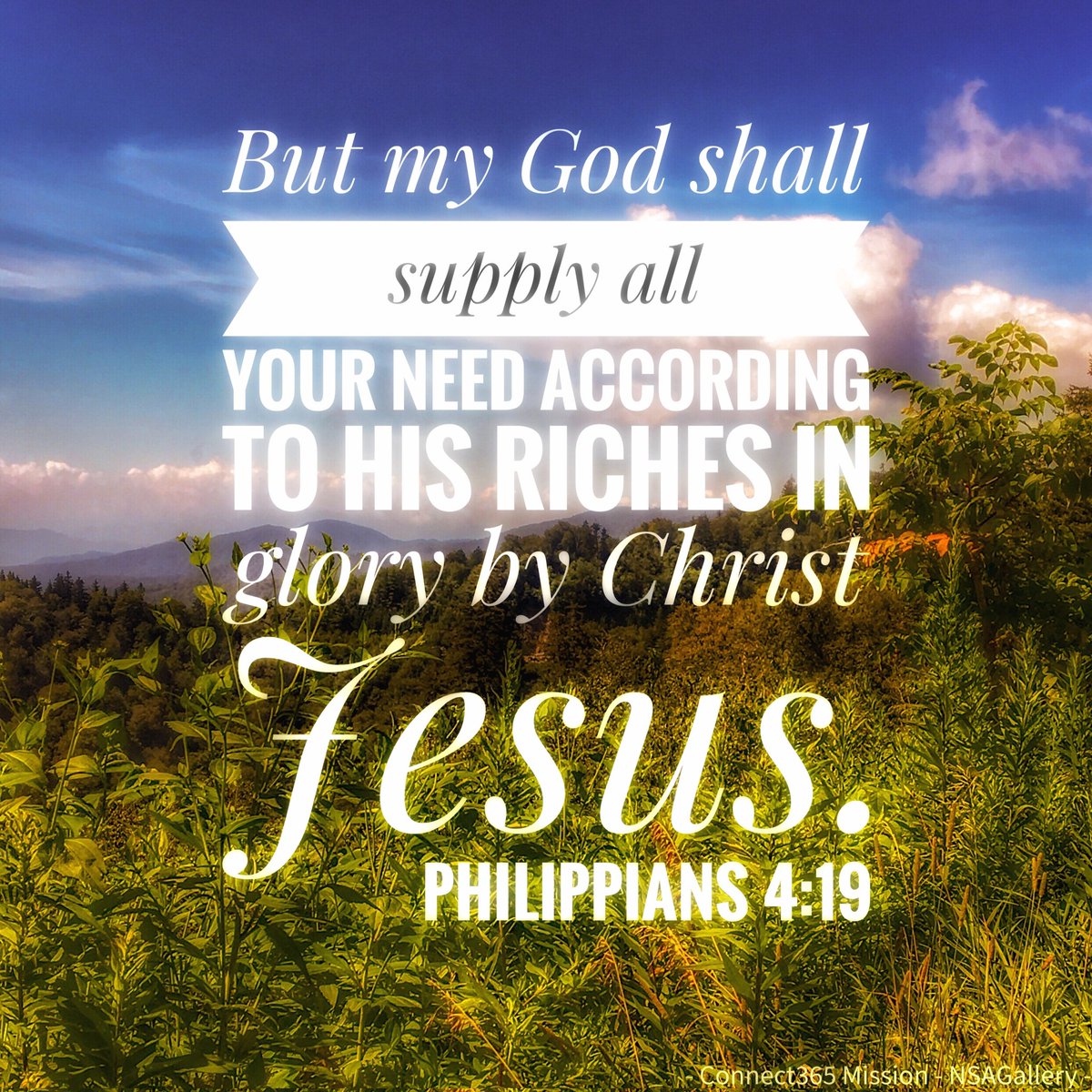 Michael P Ascani (@savlifeonline) on Twitter photo 