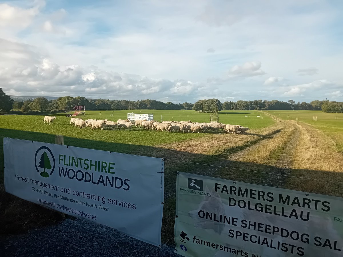 James Watson tweet media