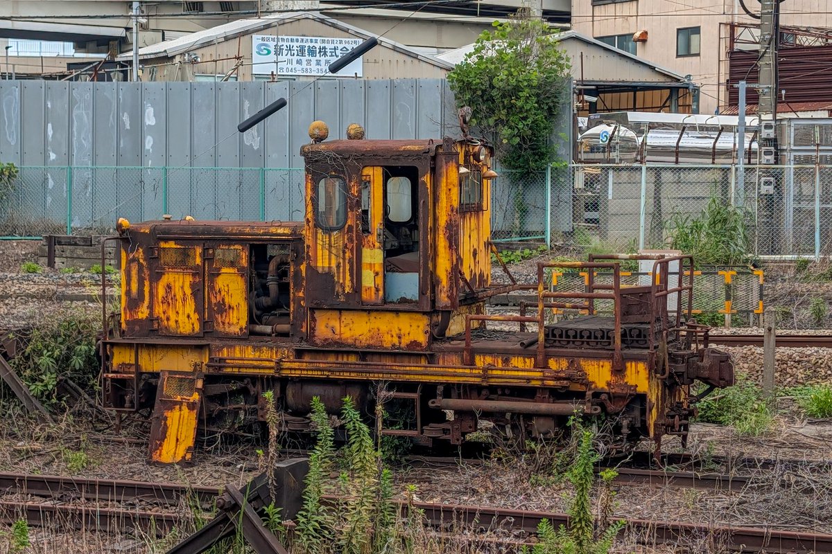 カモメ (@kamomemura) / Posts / X