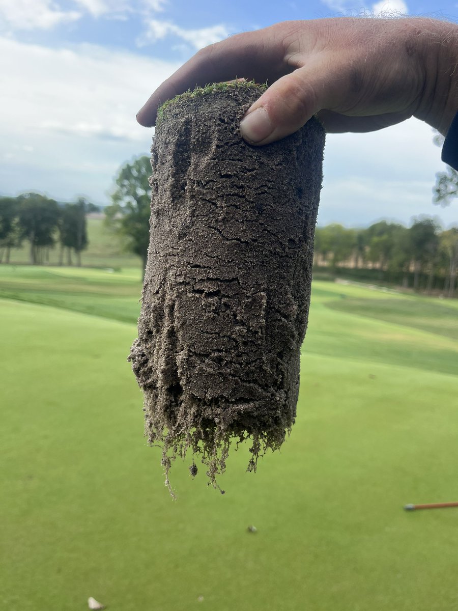 Jacob Thompson tweet media