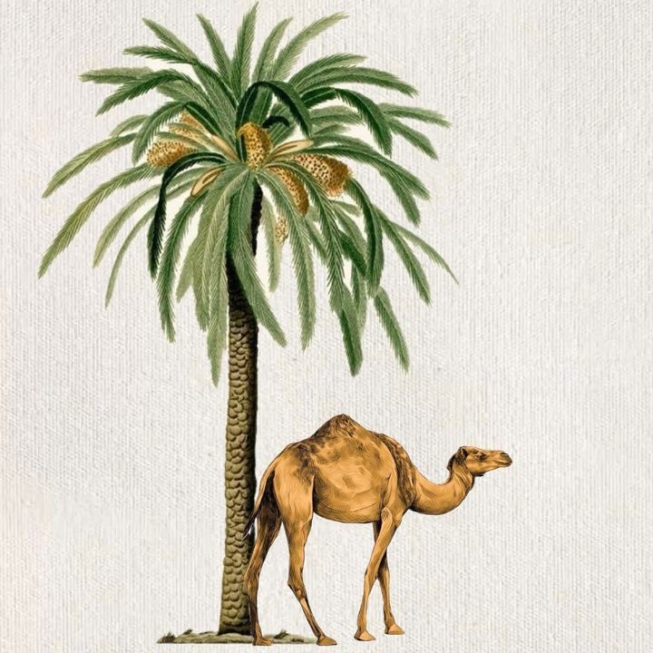 SAUDI POPULAR (@saudipopular) on Twitter photo 