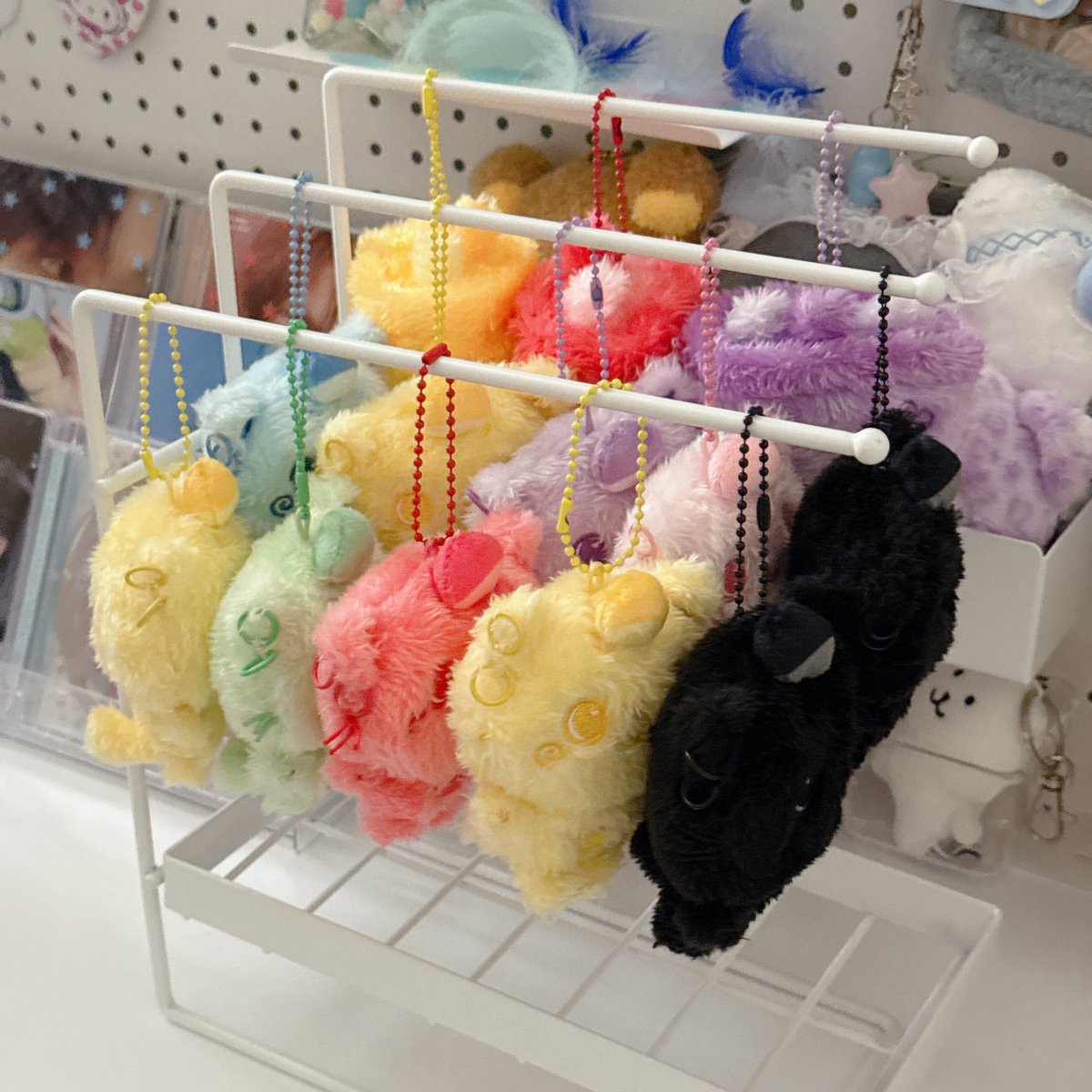 제 쿠리 컬렉션 어때요