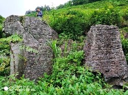 Le thé noir est l’un des thés les plus consommés dans le monde. Originaire de Chine, on raconte que c’est au XVIIᵉ siècle, après un voyage particulièrement long jusqu’à Londres, qu’une cargaison de thé se serait oxydée dans les caisses de transport.
