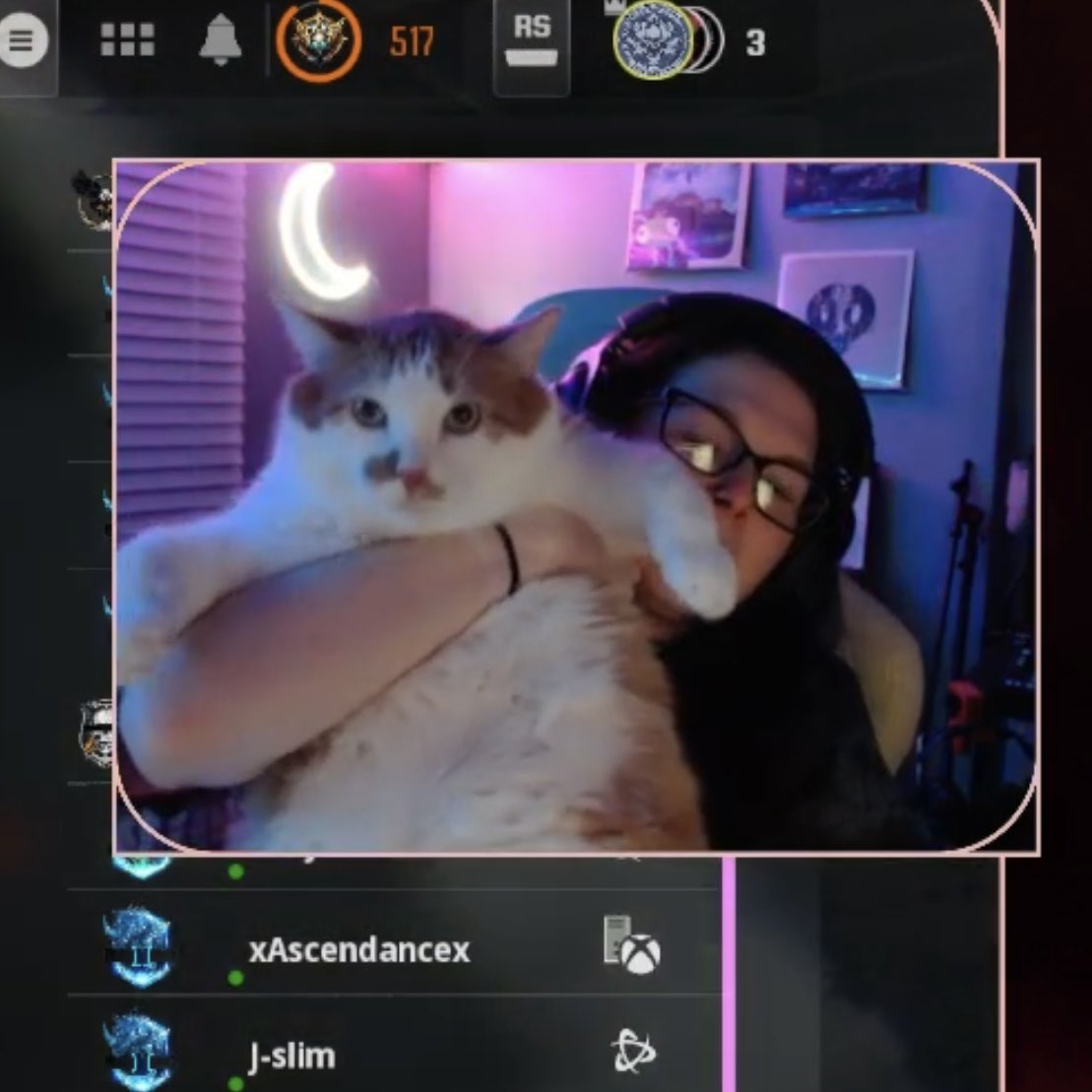 The actual star of my Twitch stream 🐈