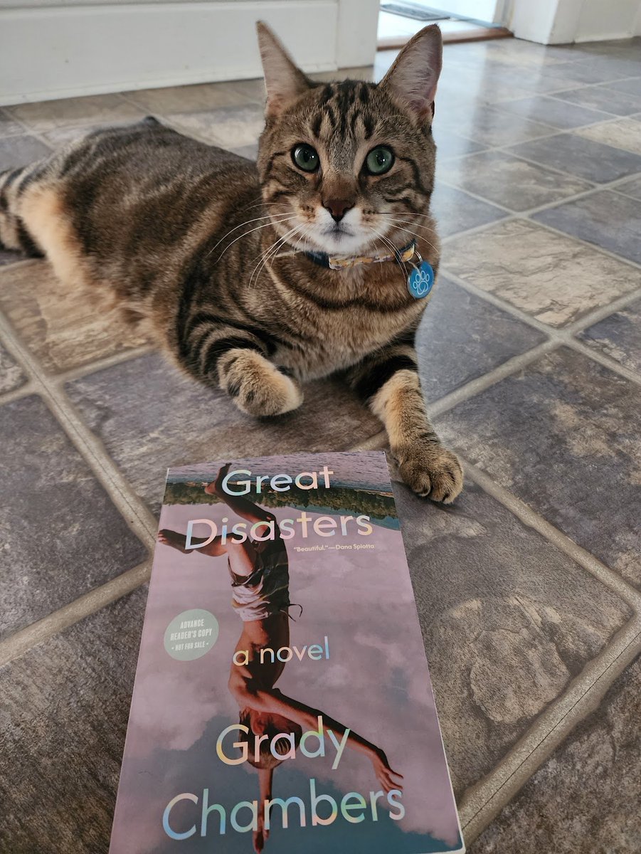Jpullen19's tweet image. Dr. Pullen &amp;amp; her TA Fidil recommend Great Disasters by @gradychambers87  (@Tin_House). A novel of coming of age in early 2000s Chicago, at once tender &amp;amp; unafraid. For Dr.  Pullen, who grew up at the same time in a different place, it felt both familiar &amp;amp; strange. #purrfectreads