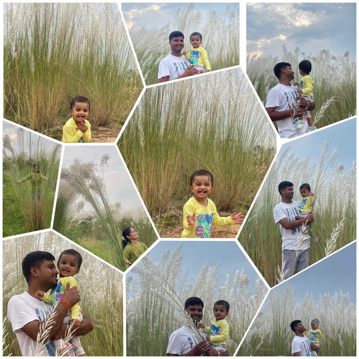 rupeshkumar796's tweet image. “धरती का श्रृंगार – कांश घास के फूल।”
🌼 “कास के फूल, शांति और सादगी का प्रतीक।”