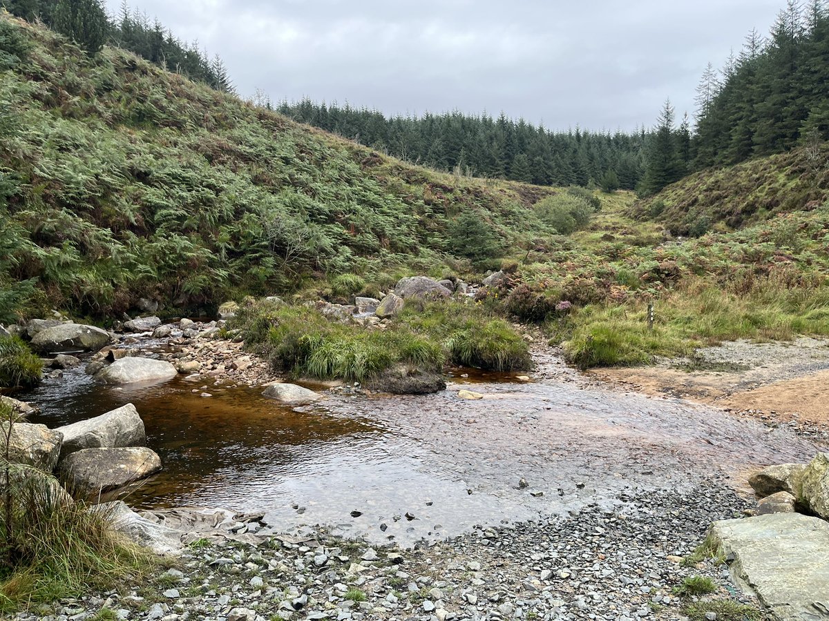 Some fun at Kilbroney this morning before the rain came in 😃