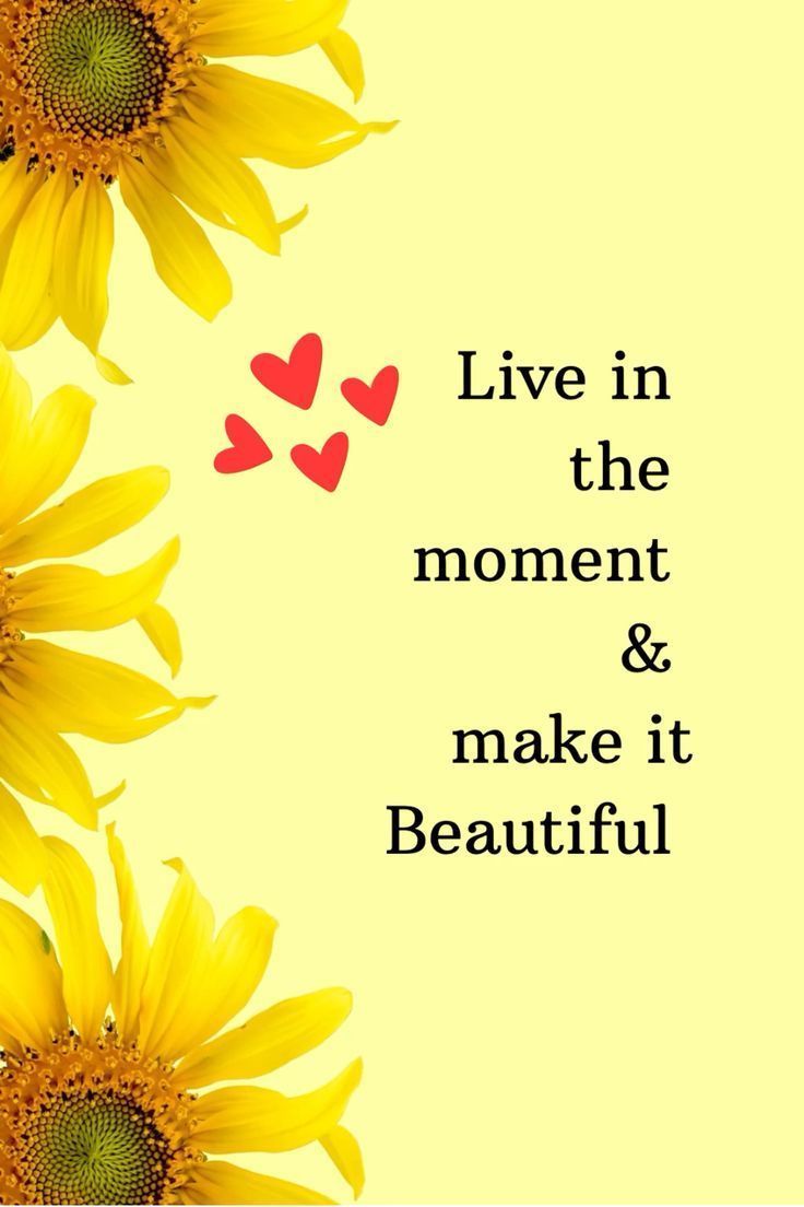 POSITIVITY (@positivitysaid) on Twitter photo 