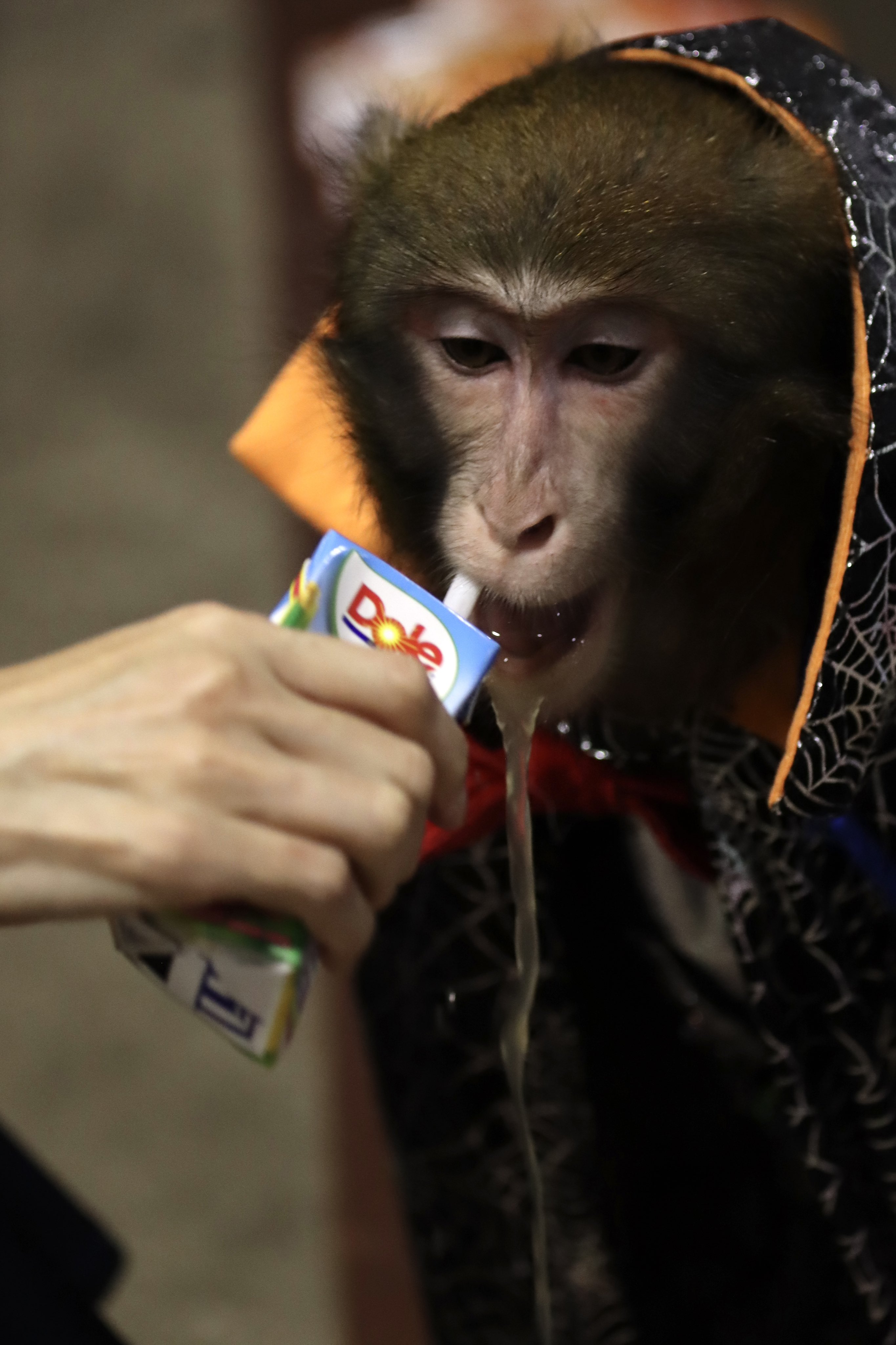 ルーちゃん☆様 ルーちゃん - Search / X