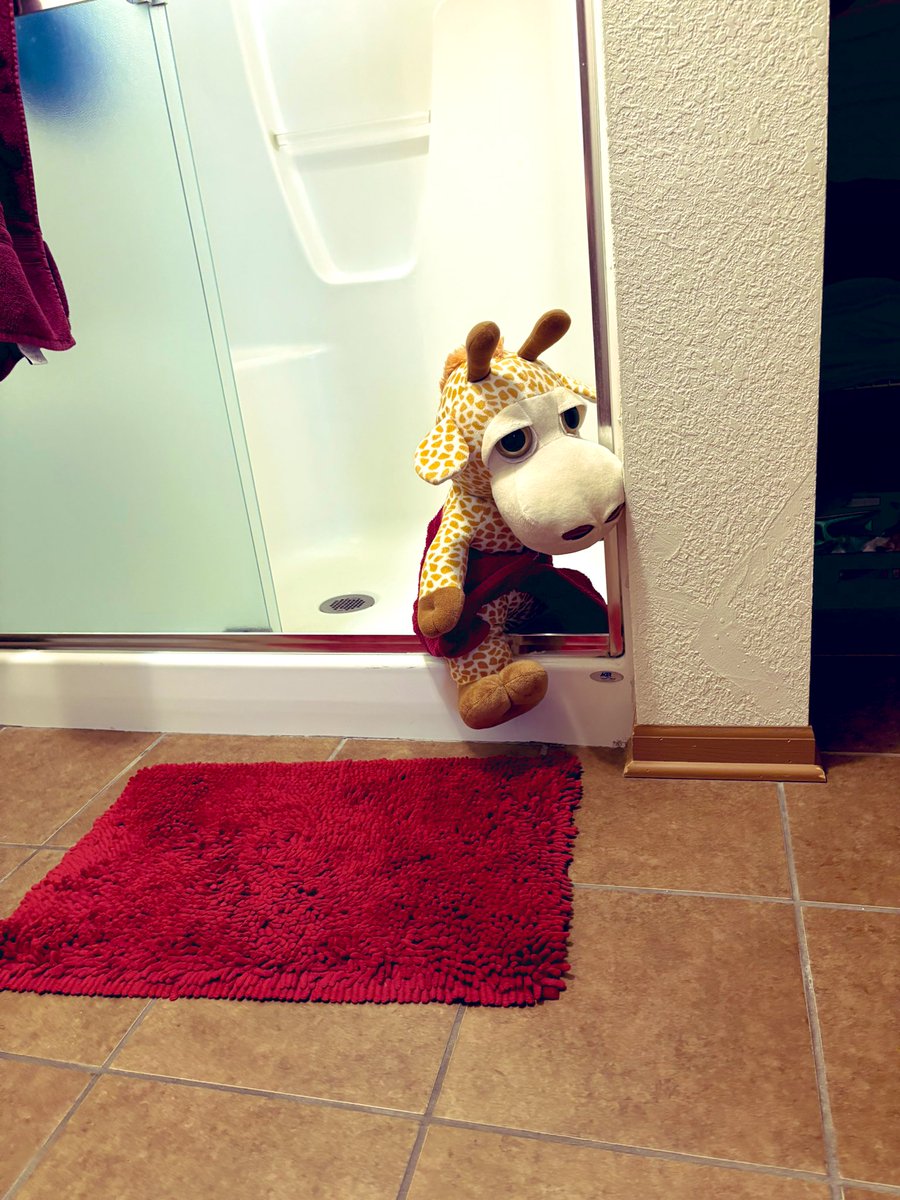 nolongernakie's tweet image. Oh no...we izn't doins da baffs taday! Don't yous haz some packins ta do, woman?!? I shuld haz guessed dat those donuts yous brot home dis mornins waz a trap!! 
Help!!
@AviwhiteGSD @Frogletiscool @monkey_maisie @MatthewSummors @PaulAtk52540619