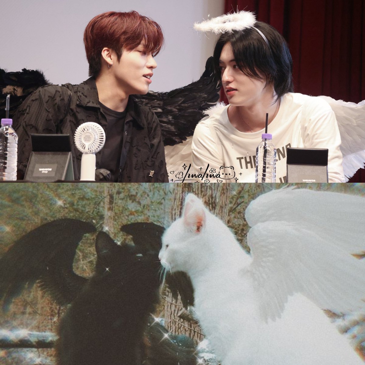 🖤🤍

#박정우 #하루토