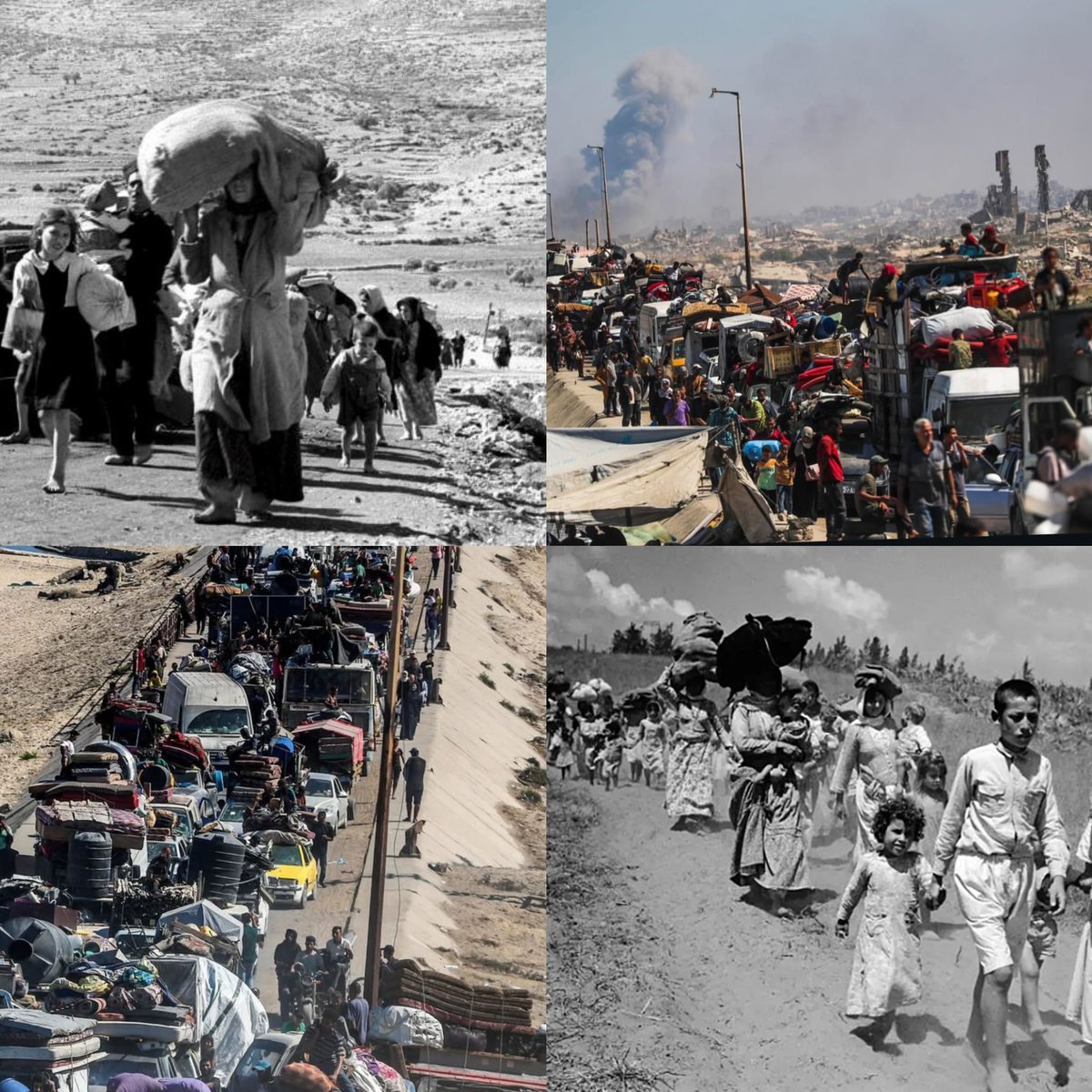 نفس النكبة بس الفرق انها بالألوان وجودة الصورة أعلى وكل العالم بيشوفها عالمباشر 💔😞